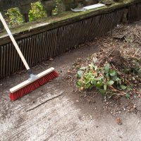 kentucky-tree-services-brush-removal