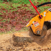 tree-service-ky-stump-removal